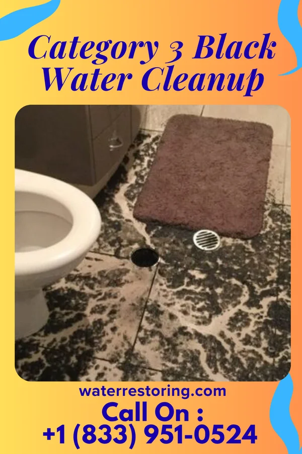 Category 3 Black Water Cleanup in Lower Salem, OH