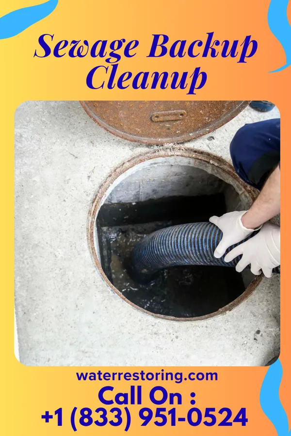 Sewage Backup Cleanup in Lower Salem, OH