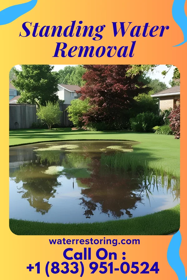 Standing Water Removal in Lower Salem, OH